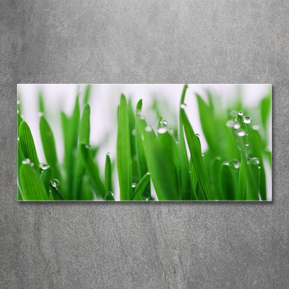 Acrylic wall art Blade of grass