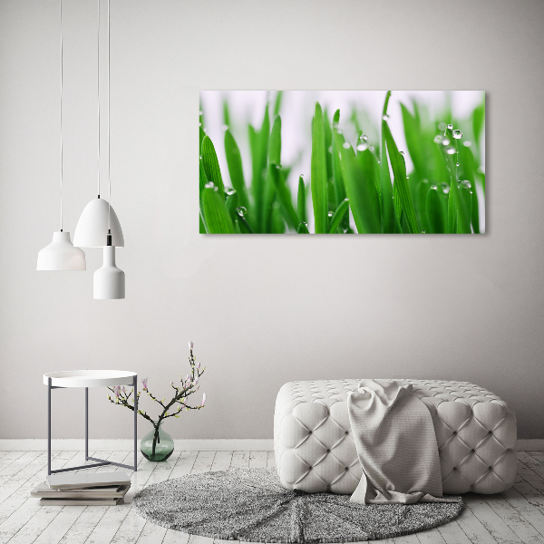 Acrylic wall art Blade of grass