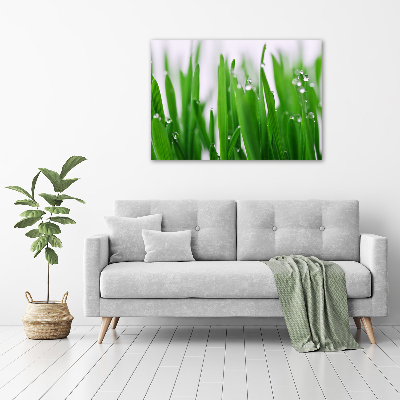 Acrylic wall art Blade of grass