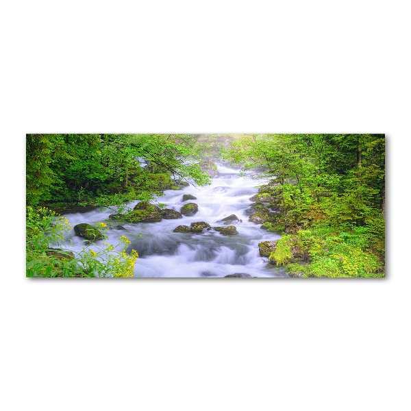 Acrylic wall art Mountain river