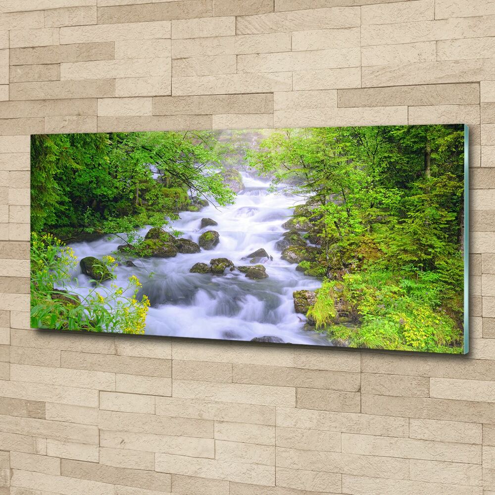 Acrylic wall art Mountain river