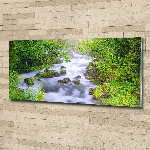 Acrylic wall art Mountain river