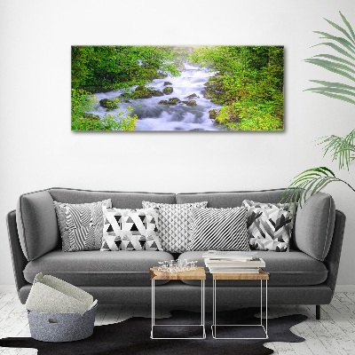 Acrylic wall art Mountain river