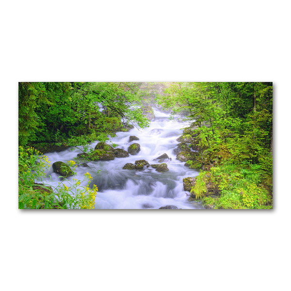 Acrylic wall art Mountain river