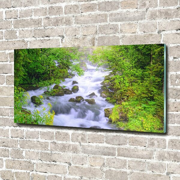 Acrylic wall art Mountain river