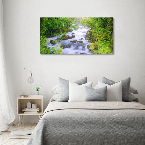 Acrylic wall art Mountain river