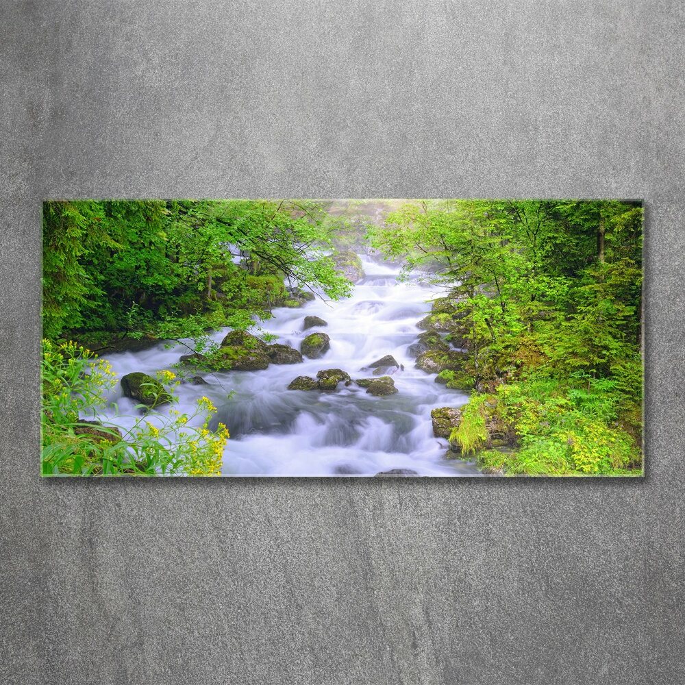 Acrylic wall art Mountain river