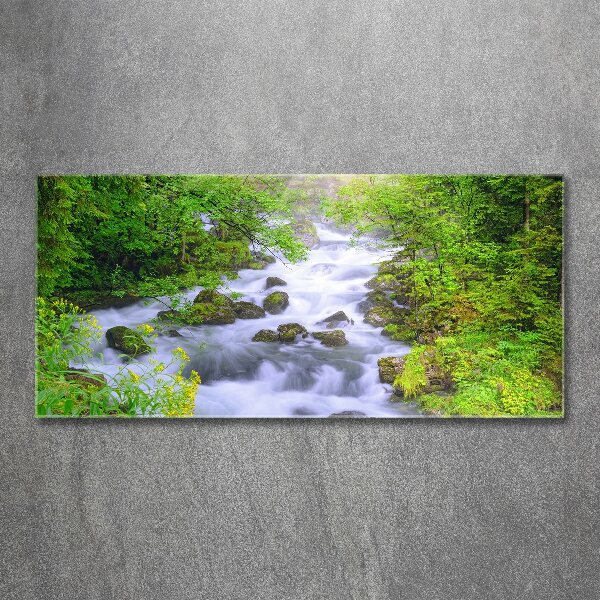 Acrylic wall art Mountain river