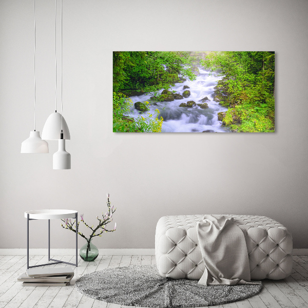 Acrylic wall art Mountain river