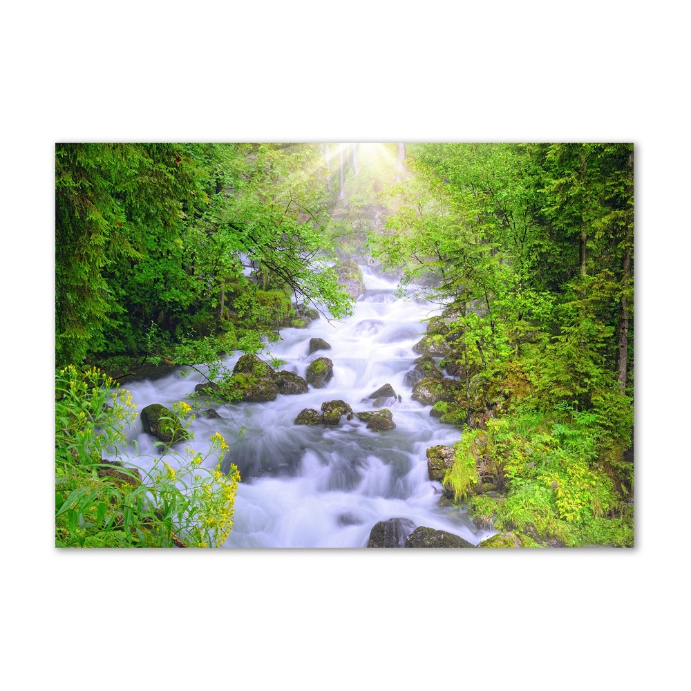 Acrylic wall art Mountain river