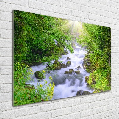 Acrylic wall art Mountain river