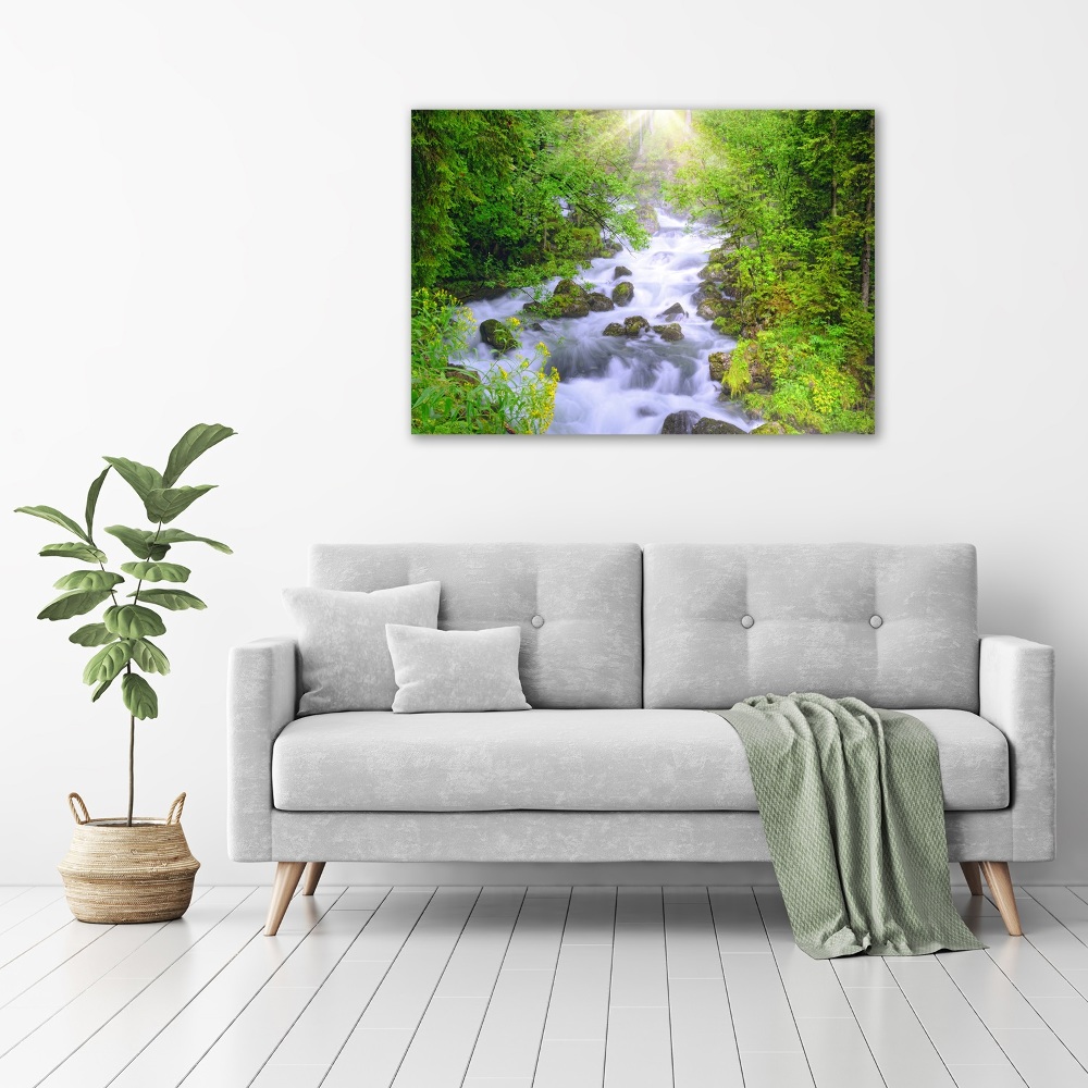 Acrylic wall art Mountain river