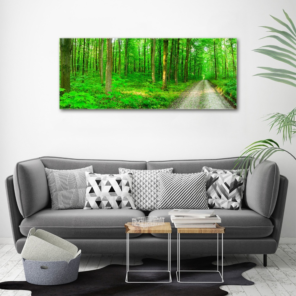 Print on acrylic Trees in the forest