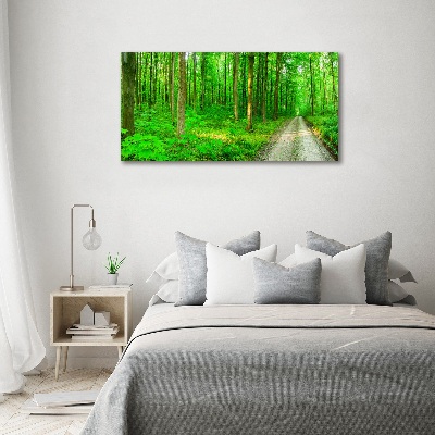 Print on acrylic Trees in the forest