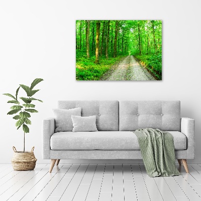 Print on acrylic Trees in the forest