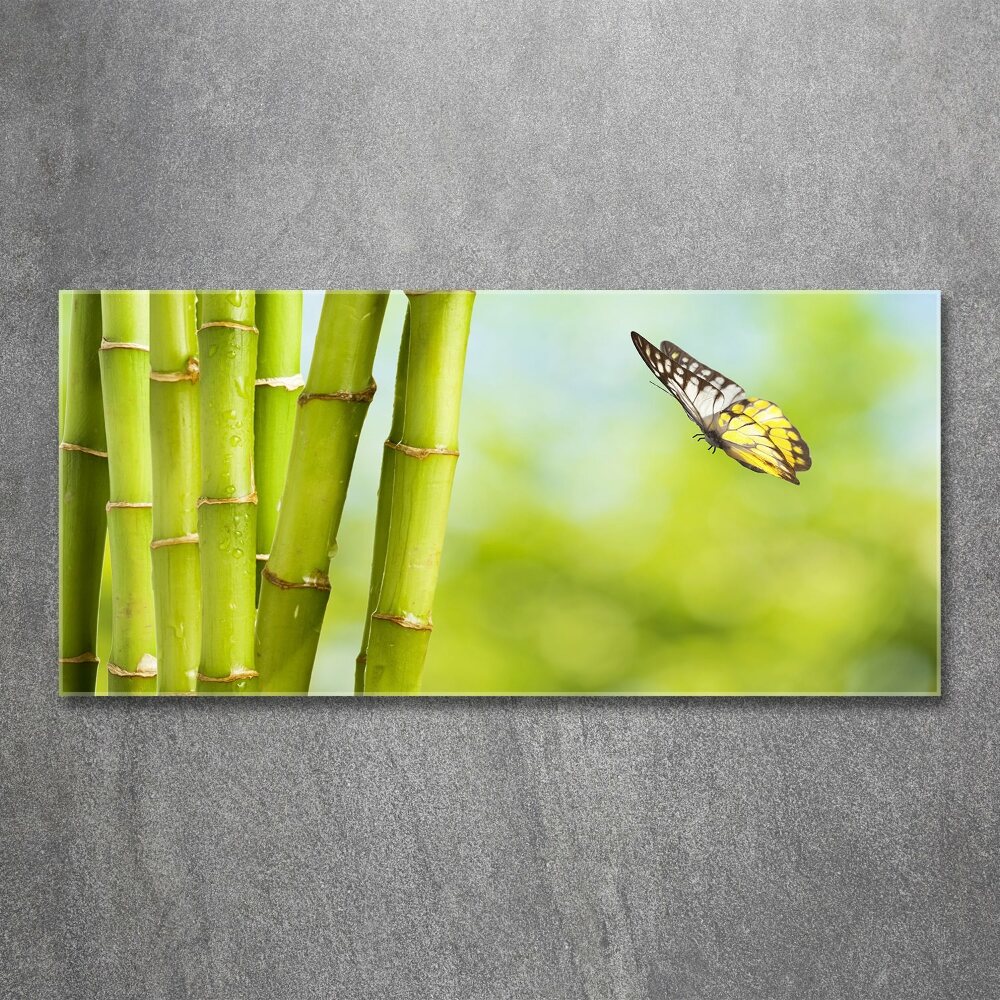 Print on acrylic Bamboo and butterfly