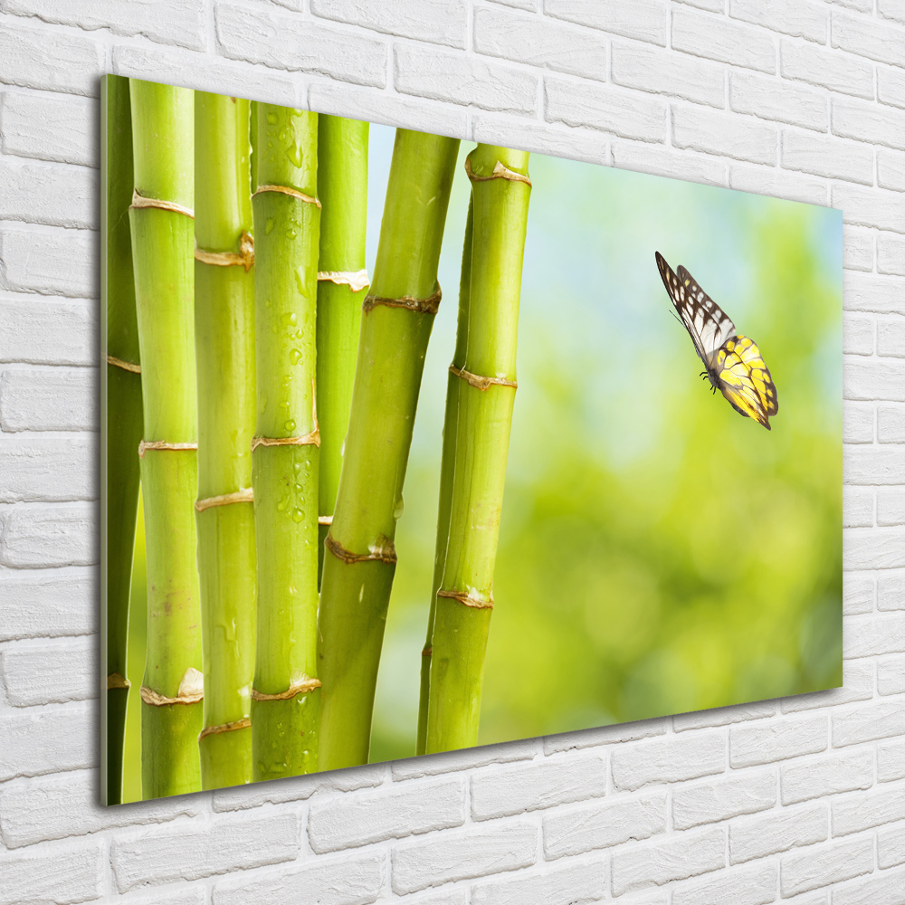 Print on acrylic Bamboo and butterfly