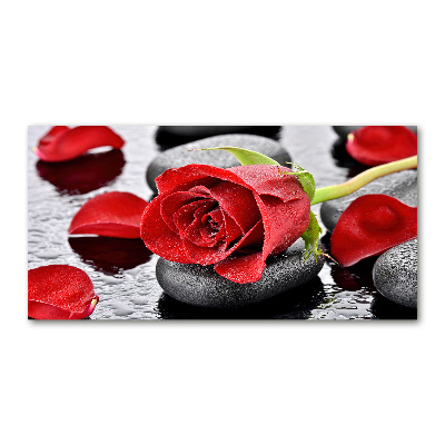 Print on acrylic Red rose