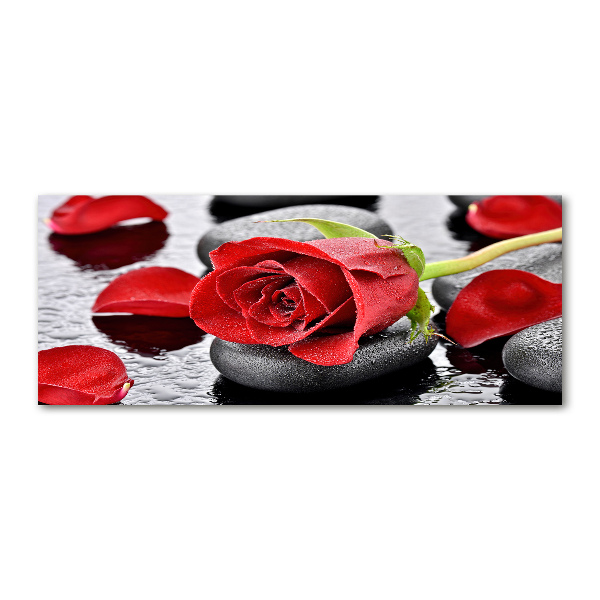 Print on acrylic Red rose