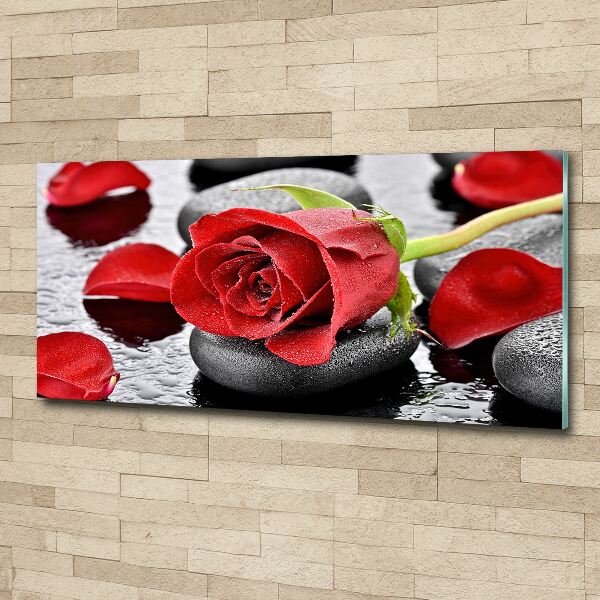 Print on acrylic Red rose