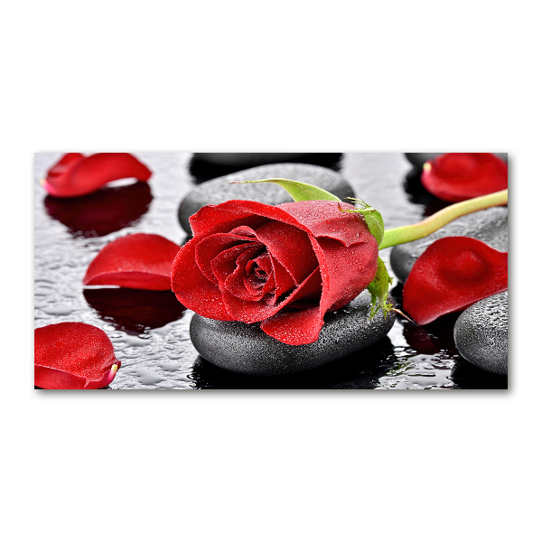 Print on acrylic Red rose