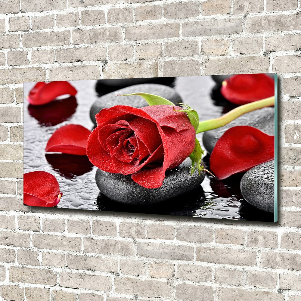 Print on acrylic Red rose