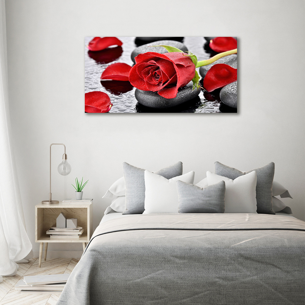 Print on acrylic Red rose