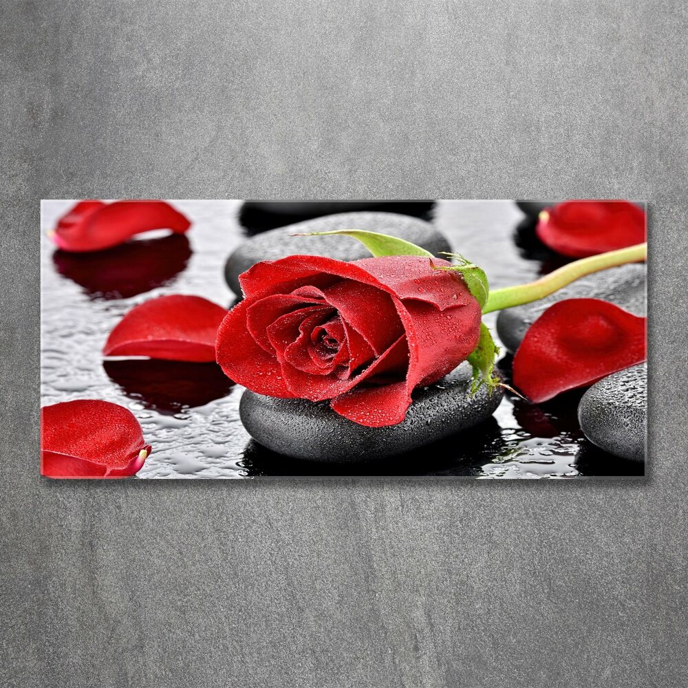 Print on acrylic Red rose