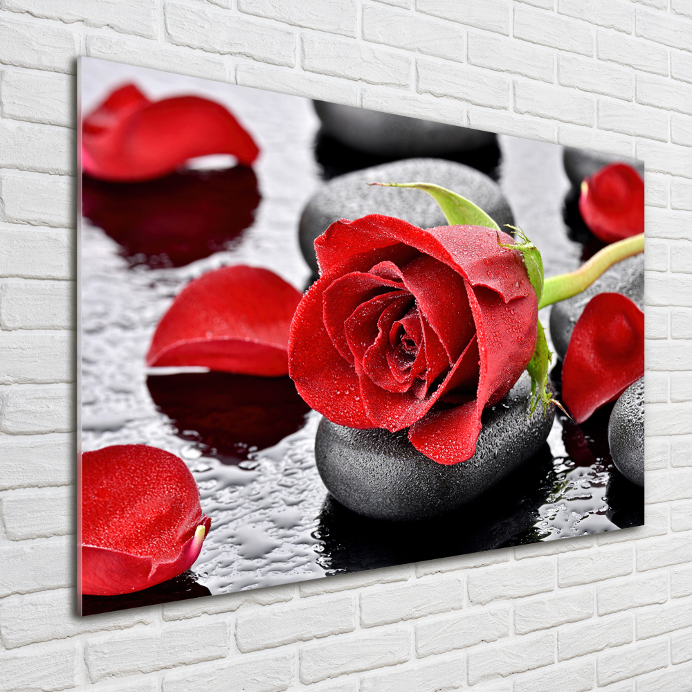 Print on acrylic Red rose