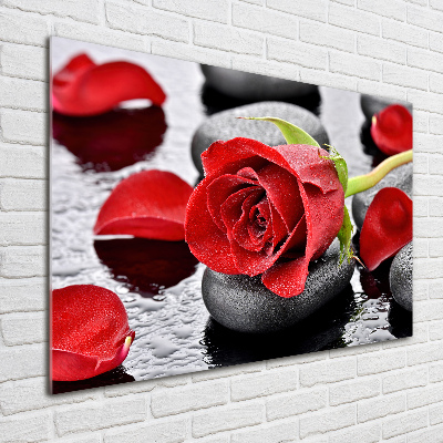 Print on acrylic Red rose