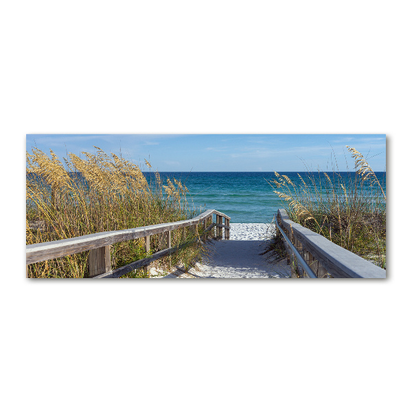 Wall art acrylic Coastal dunes