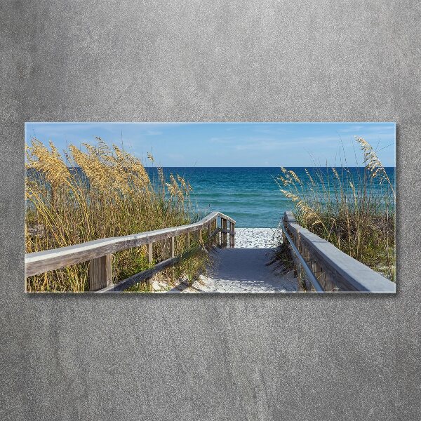 Wall art acrylic Coastal dunes