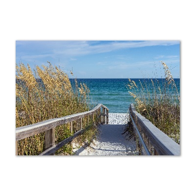 Wall art acrylic Coastal dunes