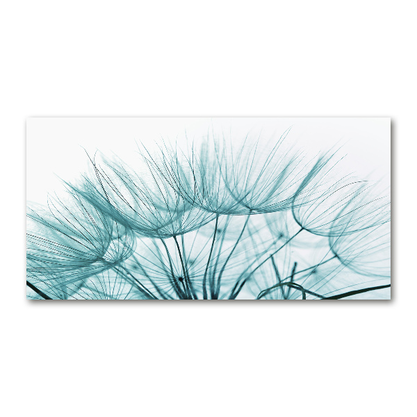 Print on acrylic Dandelion seeds