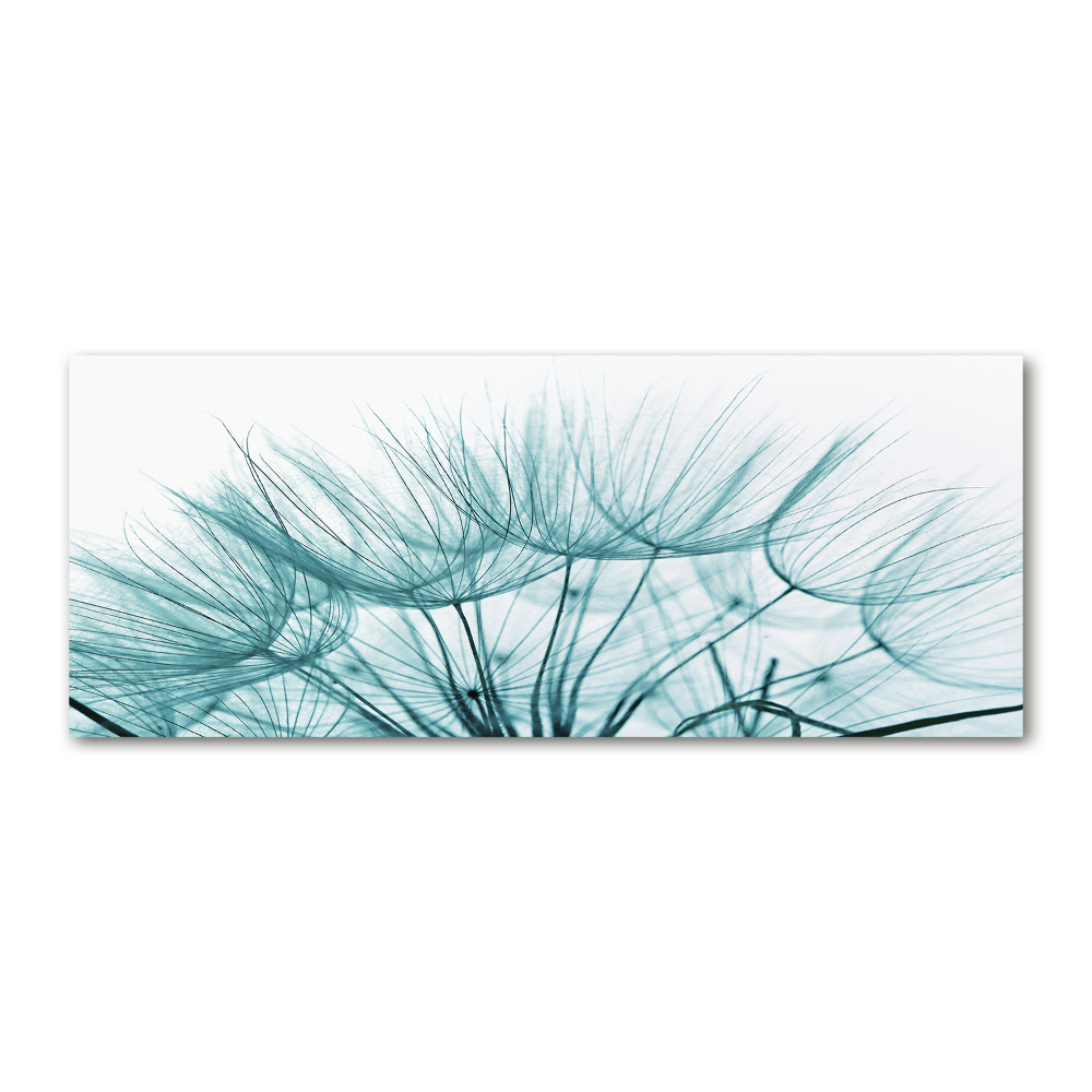 Print on acrylic Dandelion seeds