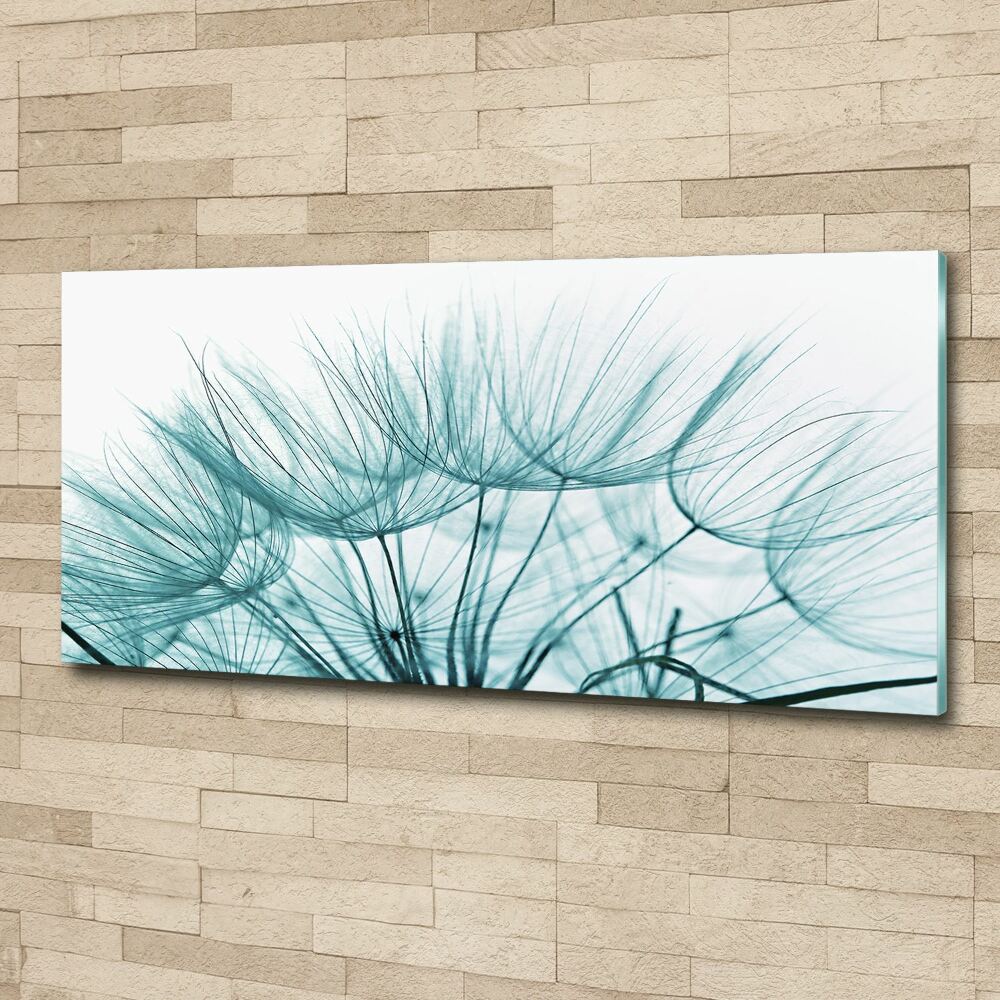 Print on acrylic Dandelion seeds