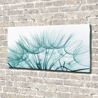 Print on acrylic Dandelion seeds