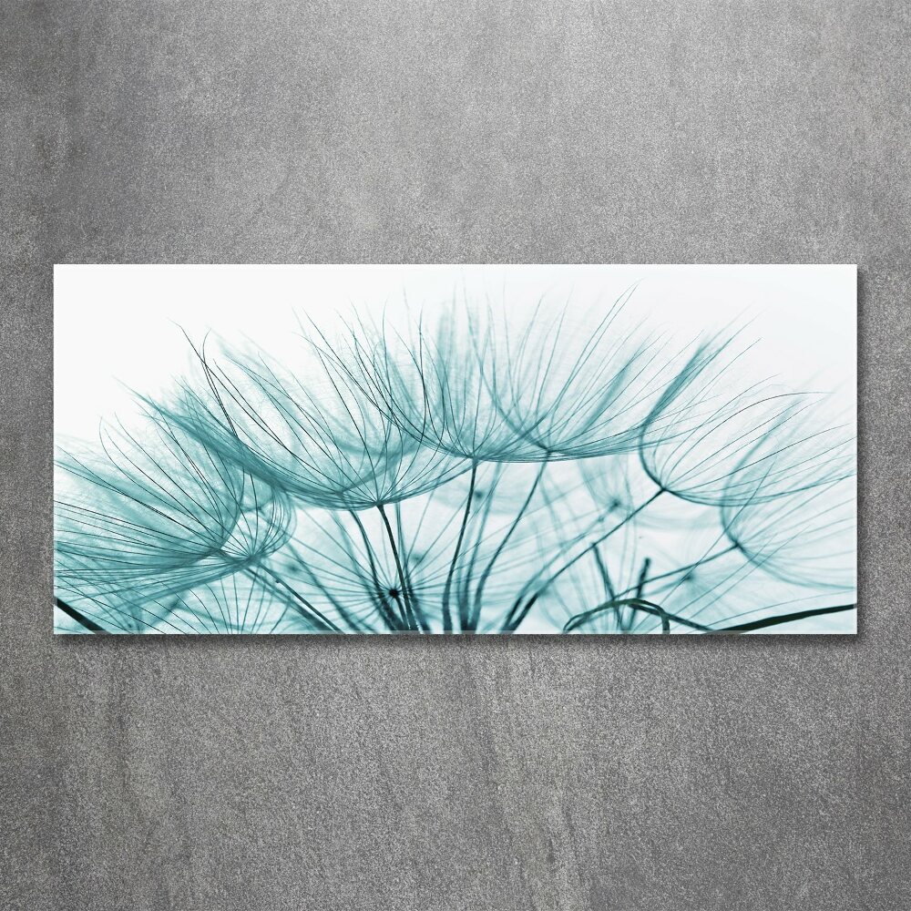 Print on acrylic Dandelion seeds