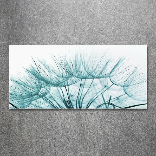 Print on acrylic Dandelion seeds