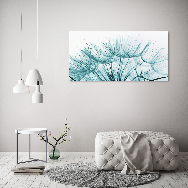 Print on acrylic Dandelion seeds