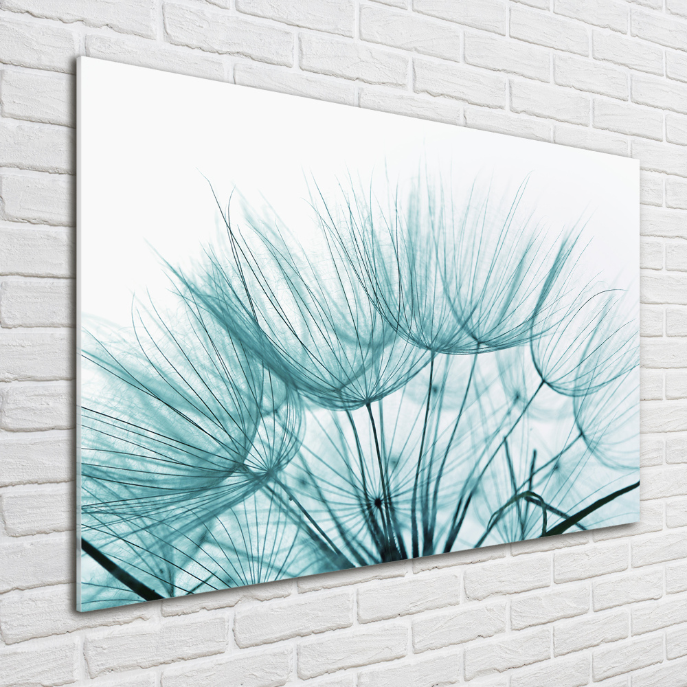 Print on acrylic Dandelion seeds