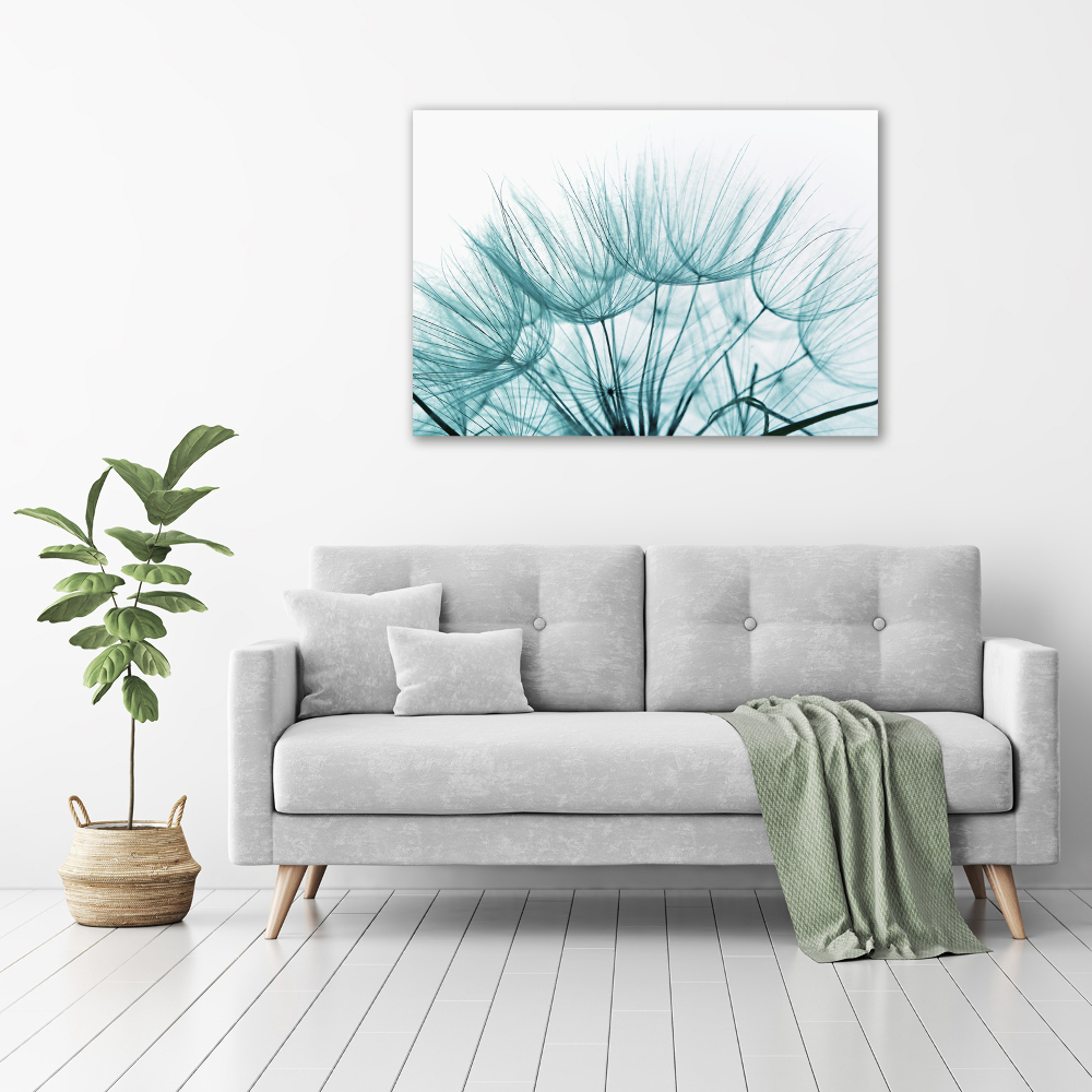 Print on acrylic Dandelion seeds