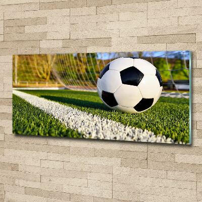 Wall art acrylic Ball in the goal