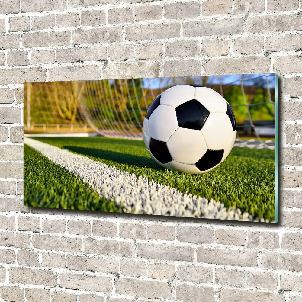 Wall art acrylic Ball in the goal