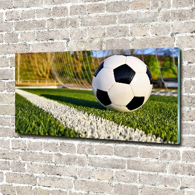 Wall art acrylic Ball in the goal