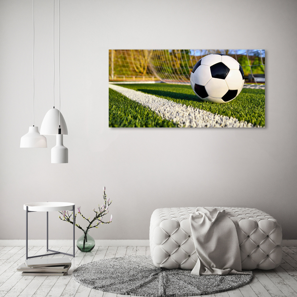 Wall art acrylic Ball in the goal