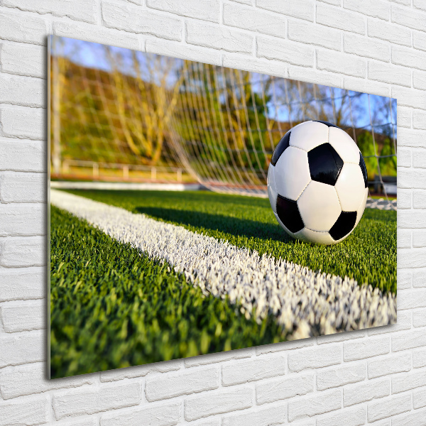 Wall art acrylic Ball in the goal