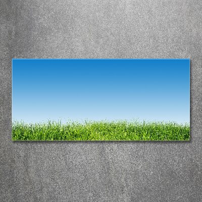 Print on acrylic Grass