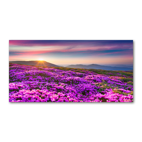 Acrylic wall art Flowers in the mountains