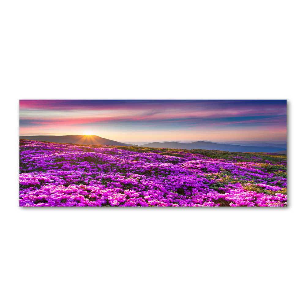 Acrylic wall art Flowers in the mountains